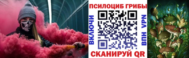 купить наркоту  Набережные Челны  Галлюциногенные грибы Psilocybine cubensis 